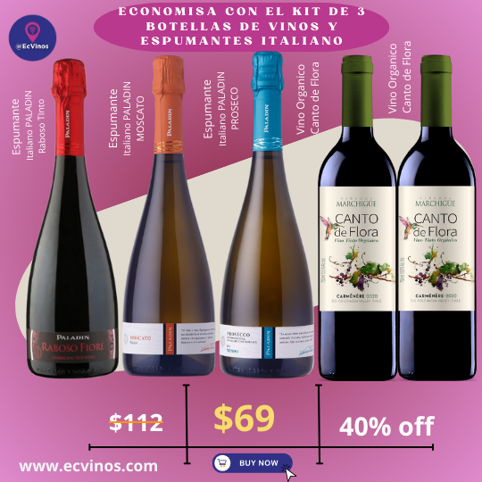 PROMO KIT 6 LLUVIA DE ESPUMANTES Y VINO